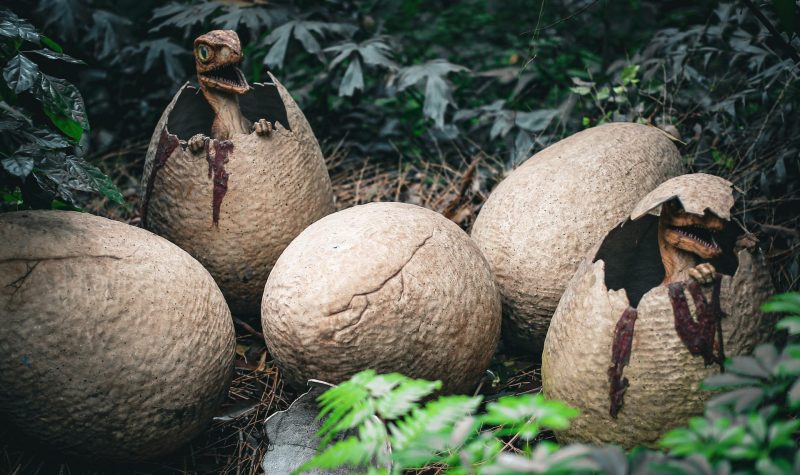 Can We Truly Resurrect Dinosaurs?