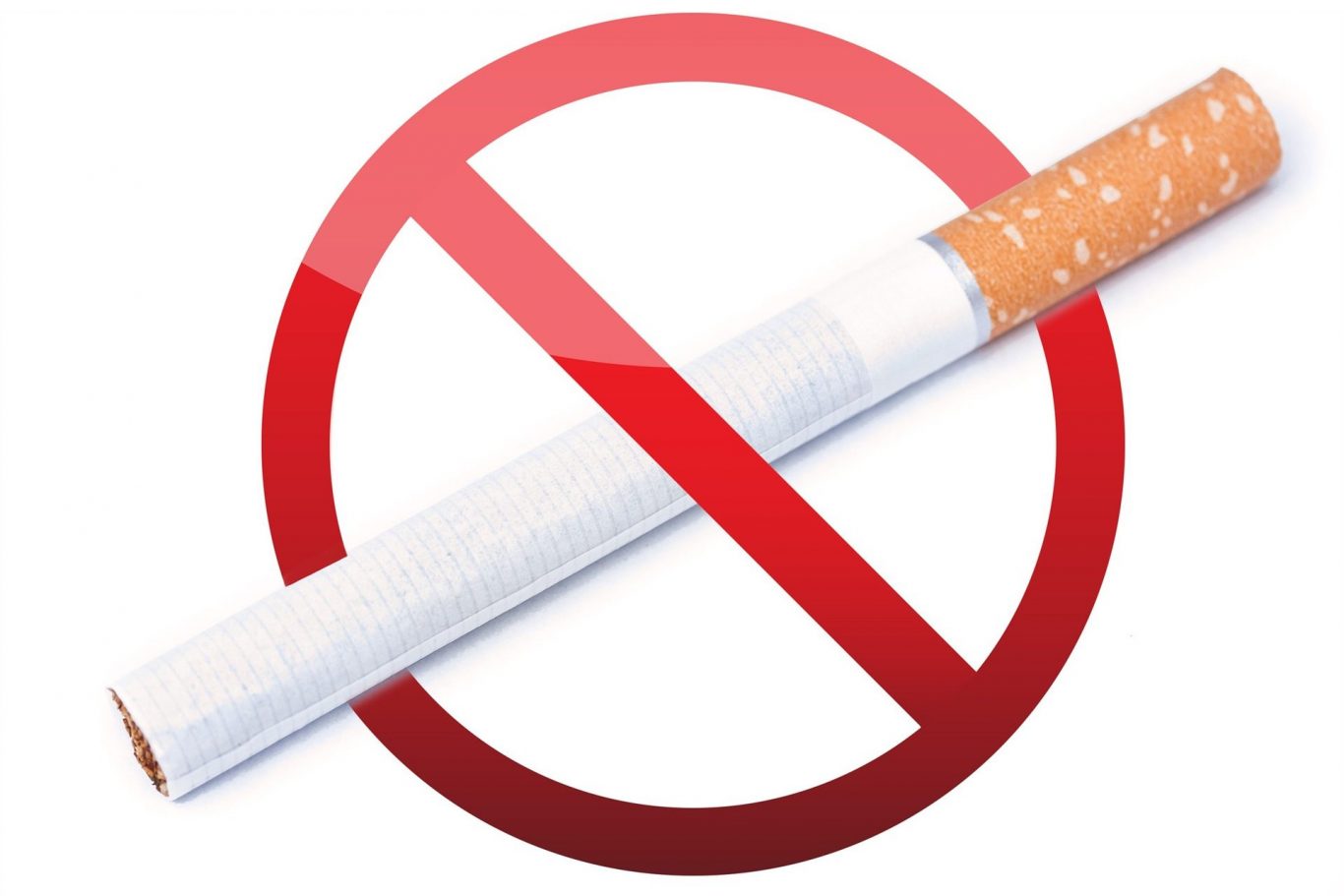From World No Tobacco Day to Global Impact