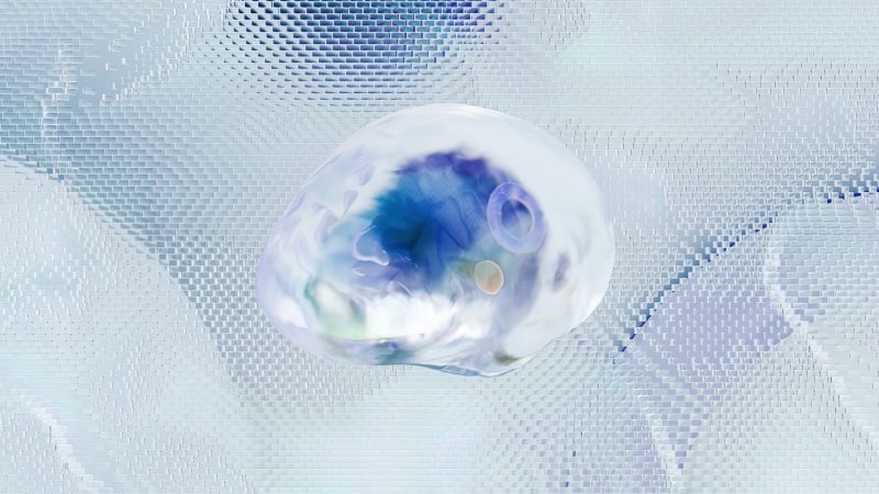 Brain's Hidden Partner: How Star-Shaped Cells Help Lock In Emotional Memories