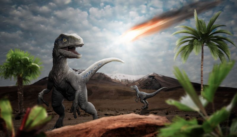Decoding Dinosaur Extinction: Meteorite Impact or Volcanic Eruption