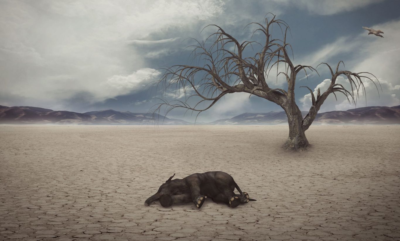 Climate Change and Biodiversity: Controlling Global Warming for Species Survival