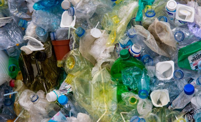 Bacteria Found Consuming Plastic as Food Source
