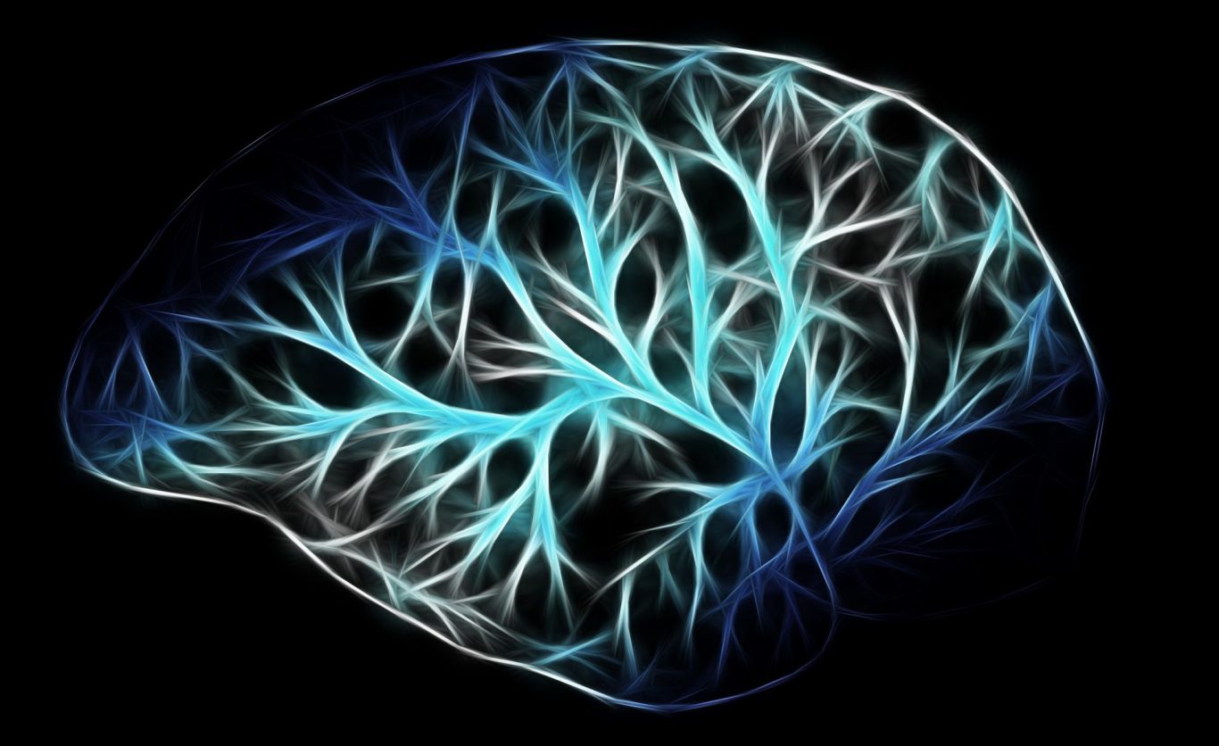 Uncovering Simultaneous Sleep and Wakefulness in the Brain