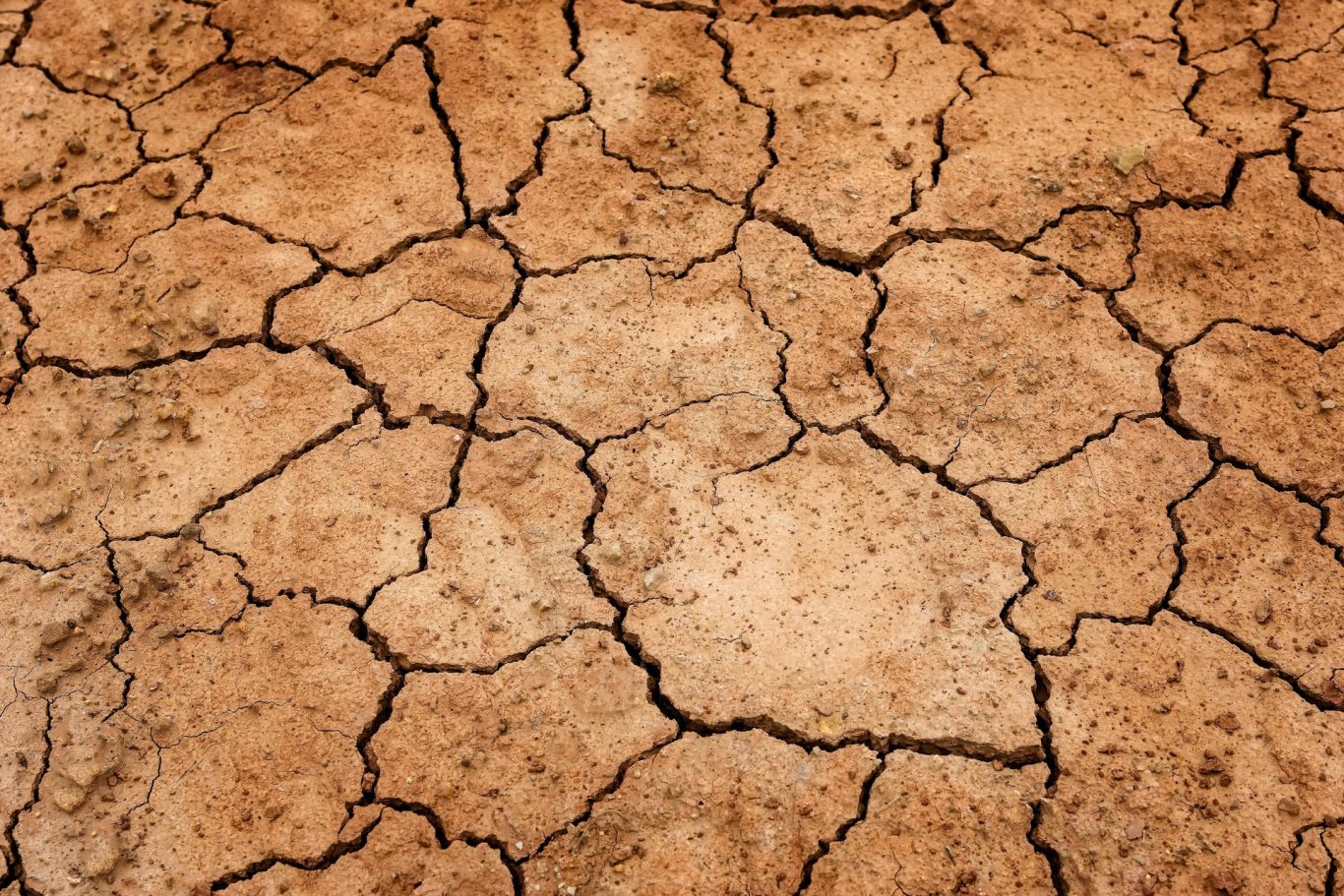 Global Drought Crisis: Urgent Action Needed to Address Escalating Threats