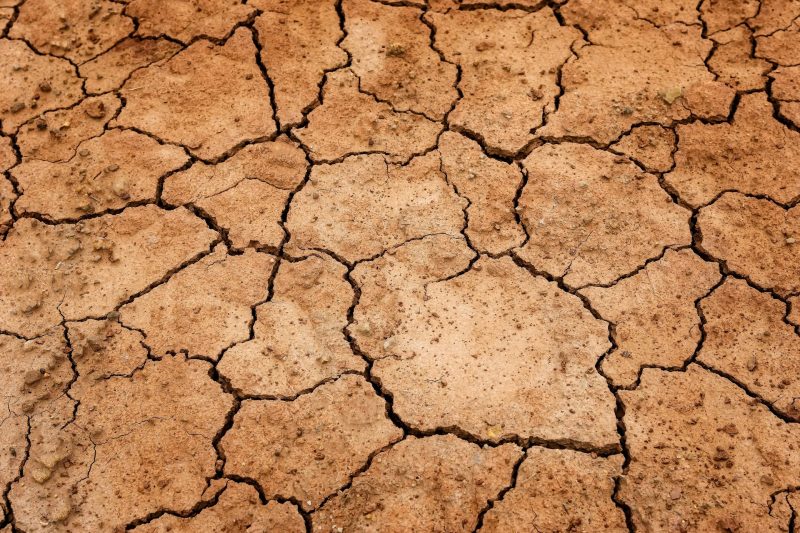 Global Drought Crisis: Urgent Action Needed to Address Escalating Threats