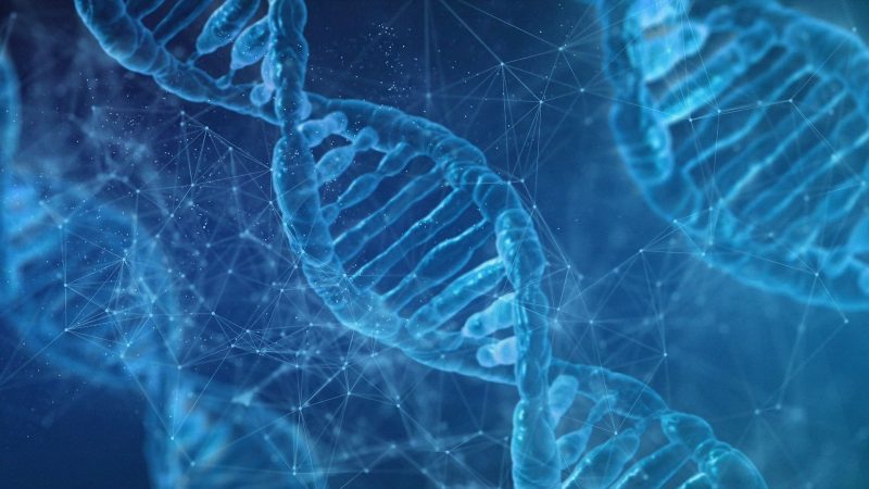 Biosafety Experts Establish International Organization to Address Biotechnology Risks