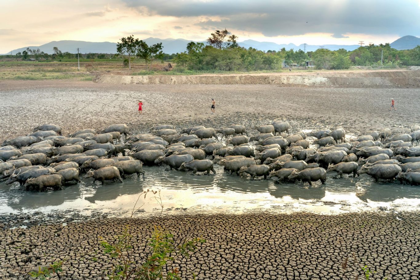 Severe Water Scarcity Threatens 3 Billion People by 2050, Study Warns