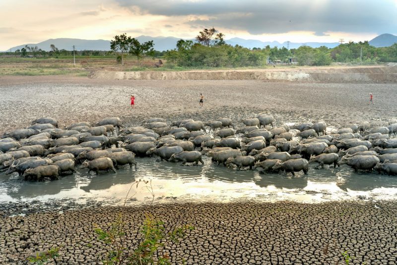 Severe Water Scarcity Threatens 3 Billion People by 2050, Study Warns