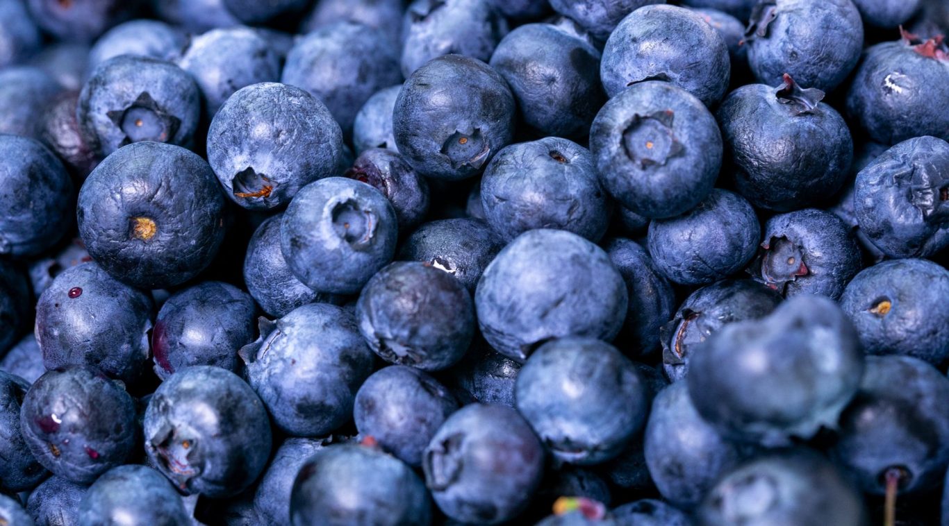 Why Blueberries Appear Blue?