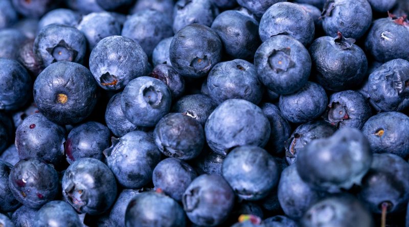 Why Blueberries Appear Blue?
