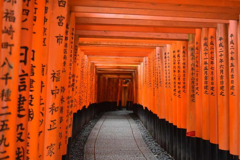 Unraveling the Tripartite Origin: A New Perspective on Japanese Ancestry