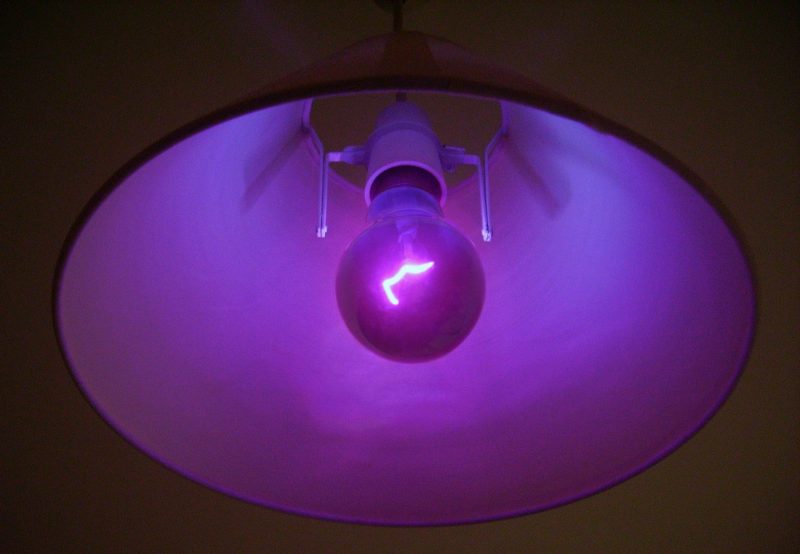 Can People See Ultraviolet Light?
