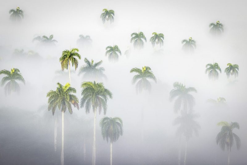Google NeuralGCM Can Predict Long-Term Climate Trends and Weather in Minutes