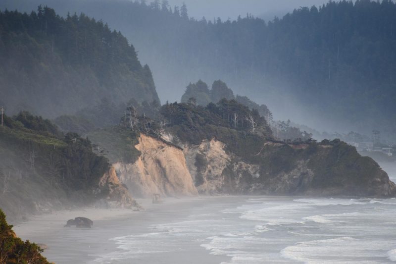 What El Niño Brought to Us in the Past Year?