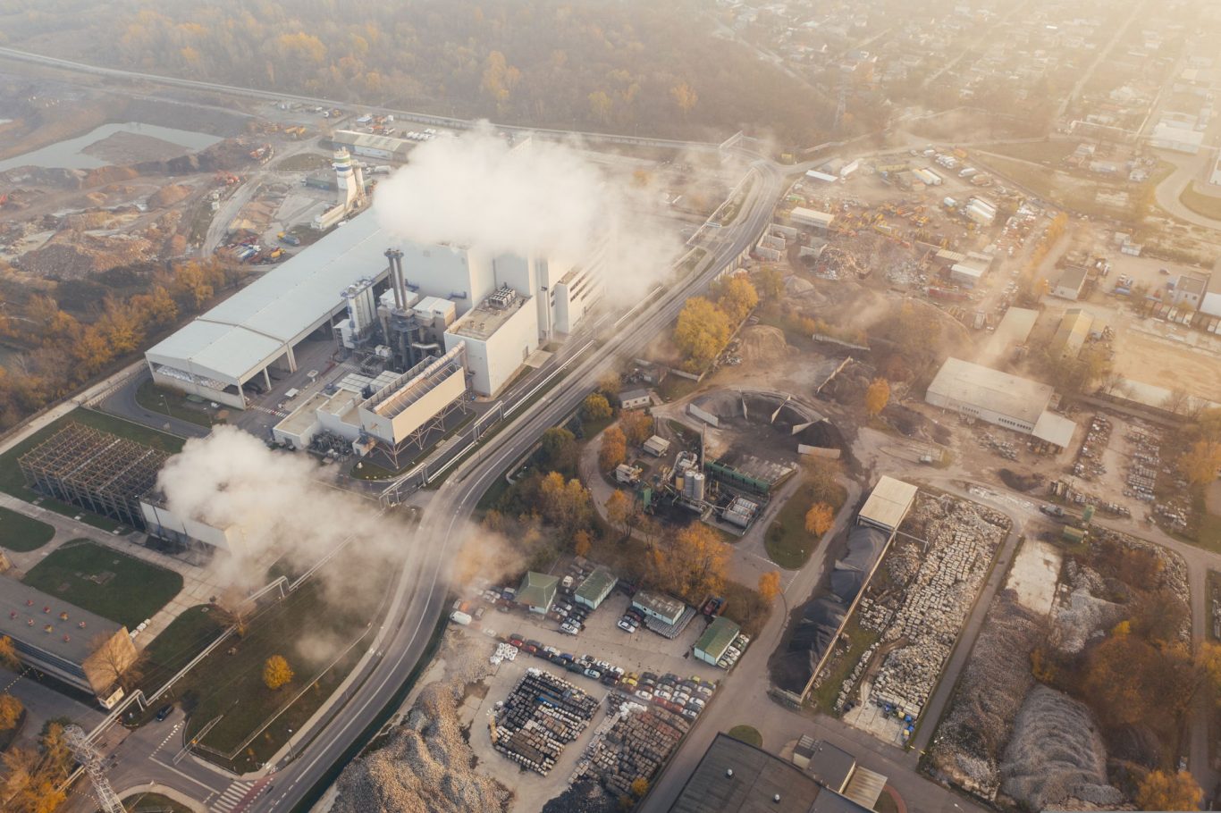 Burning Wood Pellets: A Hidden Threat to Climate and Health