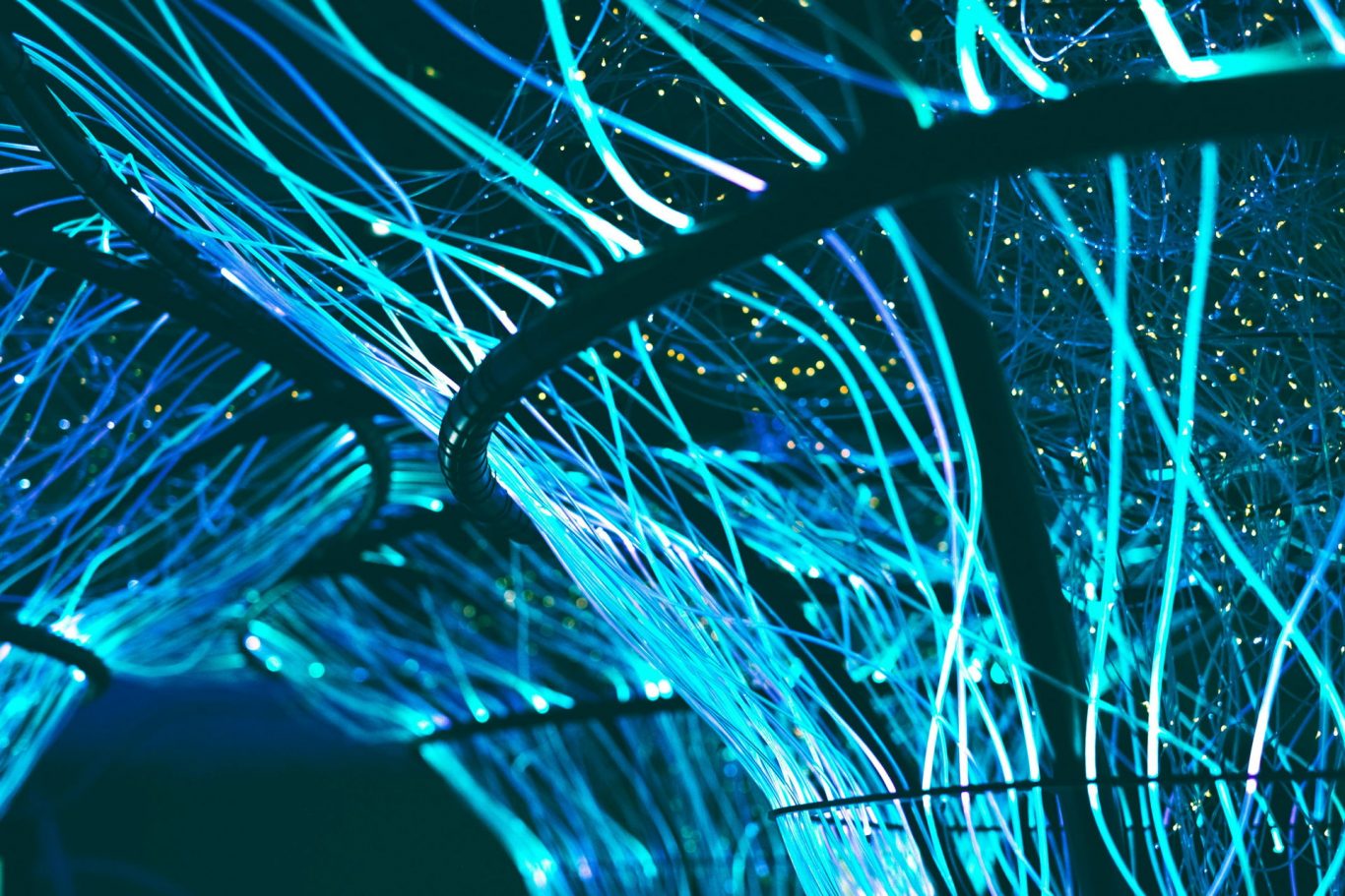 Quantum Internet and Traditional Internet Unified via Optical Fiber