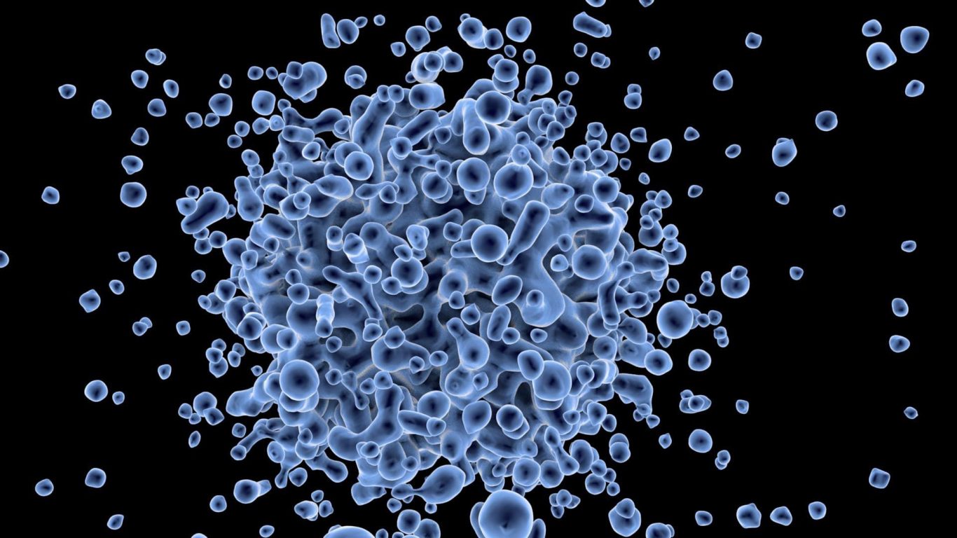 Key Molecule Found to Reprogram Immune Cells into Cancer Promoters