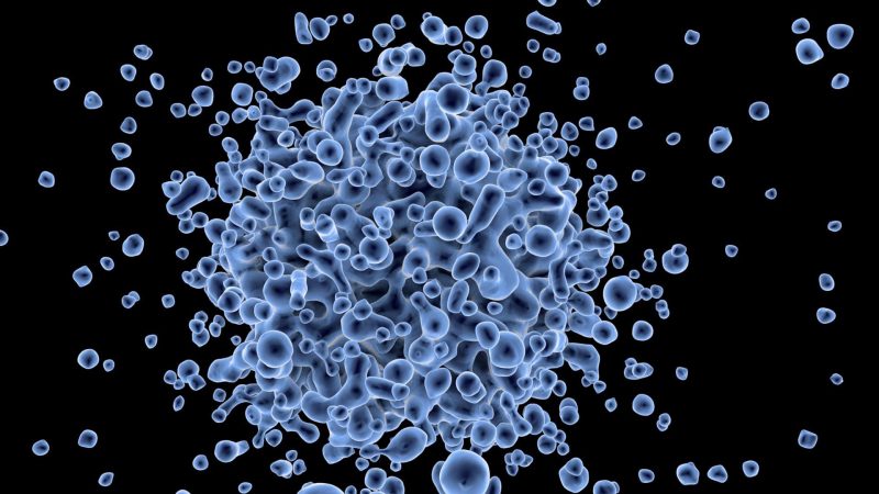 Key Molecule Found to Reprogram Immune Cells into Cancer Promoters