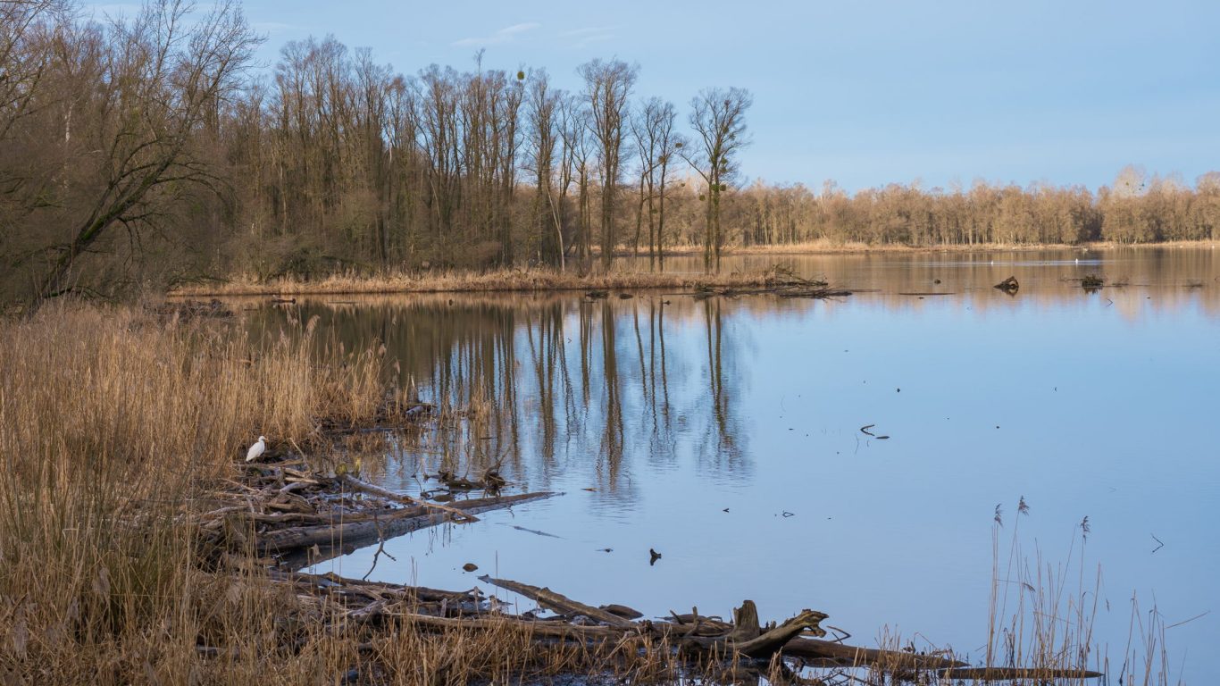 Mapping EDGE Regions: A Blueprint for Biodiversity Preservation