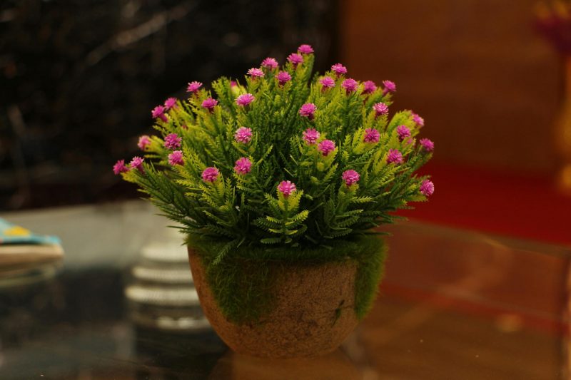 Innovative Artificial Plants for Indoor Air Purification and Energy Generation