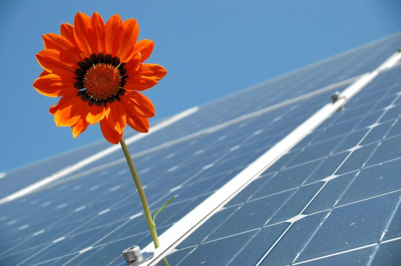Organic Solar Power: New Design Principles Unveiled