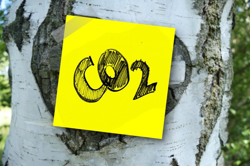 Innovative Study Explores Carbon Storage Potential in Building Materials