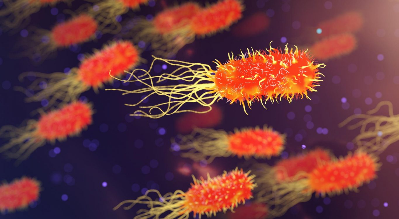 Engineered Nasal Bacteria Deliver Appetite-Suppressing Hormones, Reducing Weight in Obese Mice