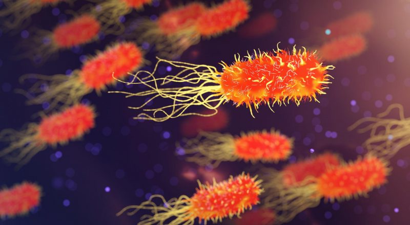 Engineered Nasal Bacteria Deliver Appetite-Suppressing Hormones, Reducing Weight in Obese Mice