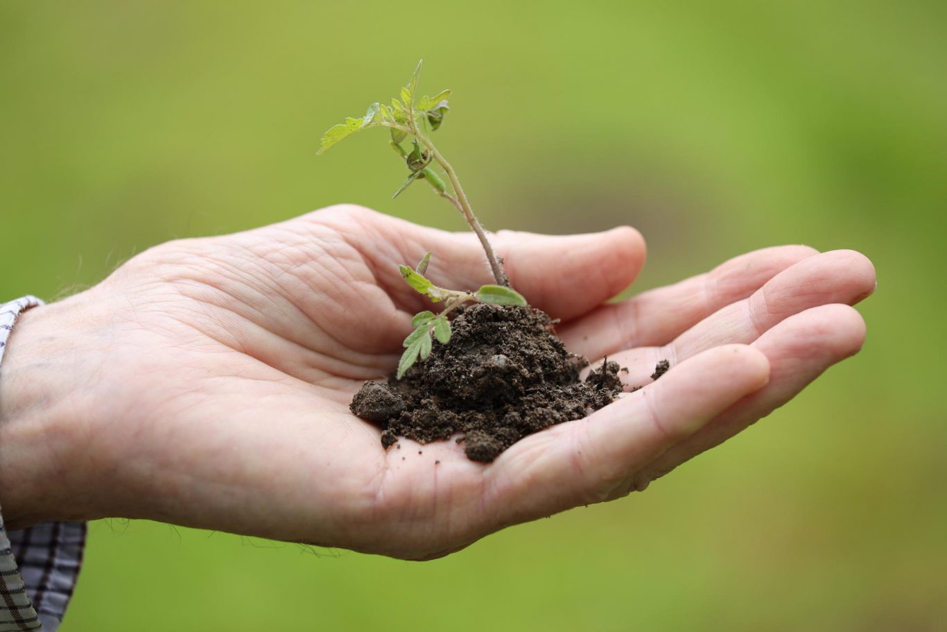 Munich Researchers Optimize Plant Enzyme Lifespan Through Directed Evolution