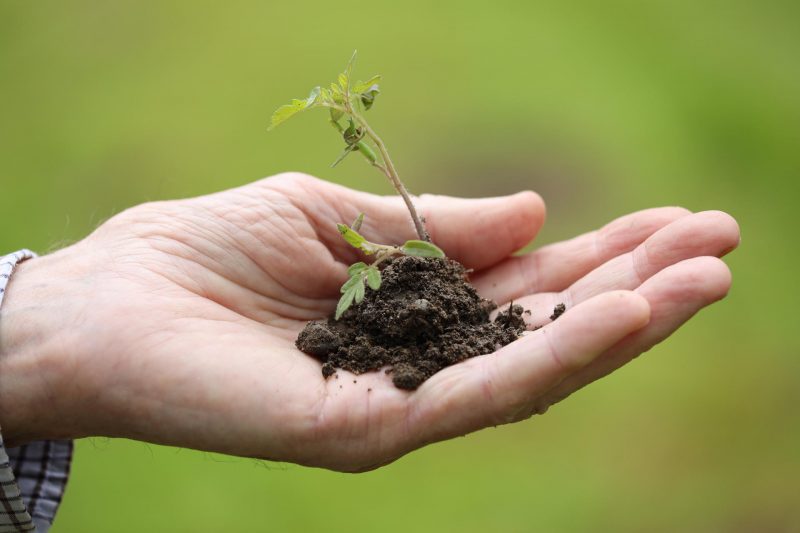 Munich Researchers Optimize Plant Enzyme Lifespan Through Directed Evolution