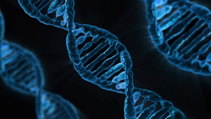 Researchers Identify 64 Genes Linked to Brain Aging, Paving the Way for Anti-Aging Therapies