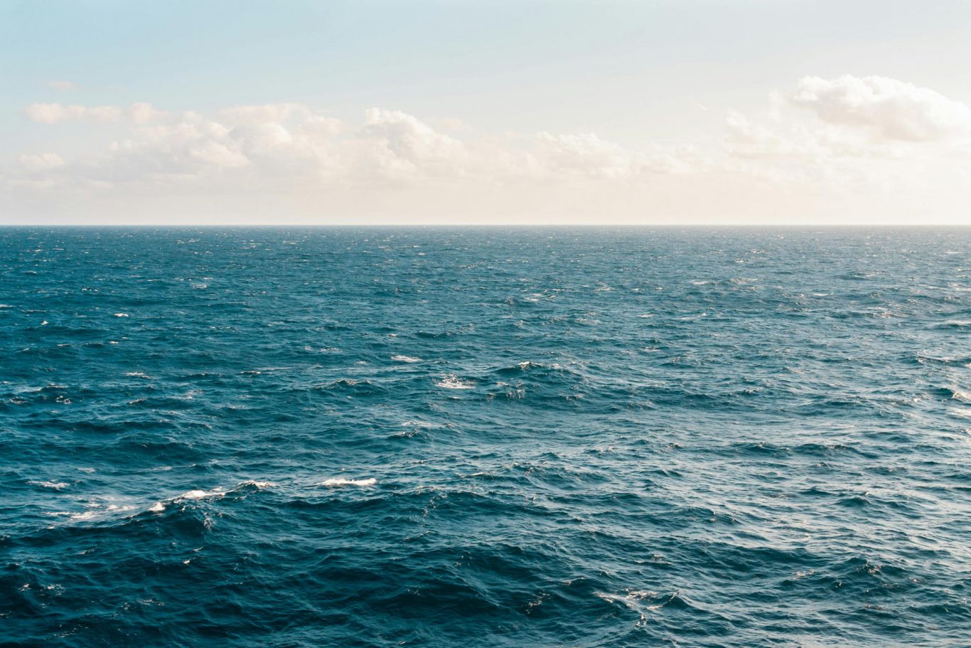 Ocean Acidification Threatens to Undermine Global Carbon Absorption, Study Finds