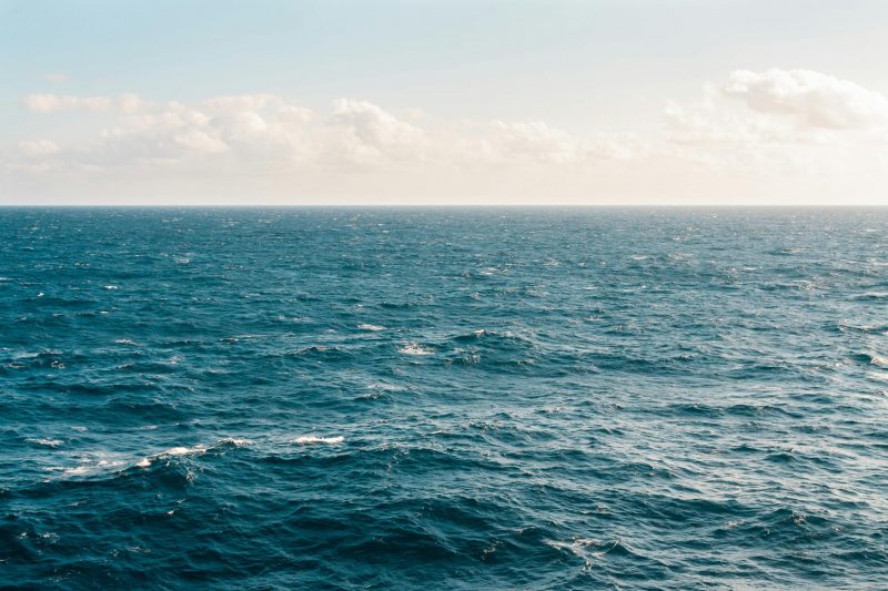 Ocean Acidification Threatens to Undermine Global Carbon Absorption, Study Finds