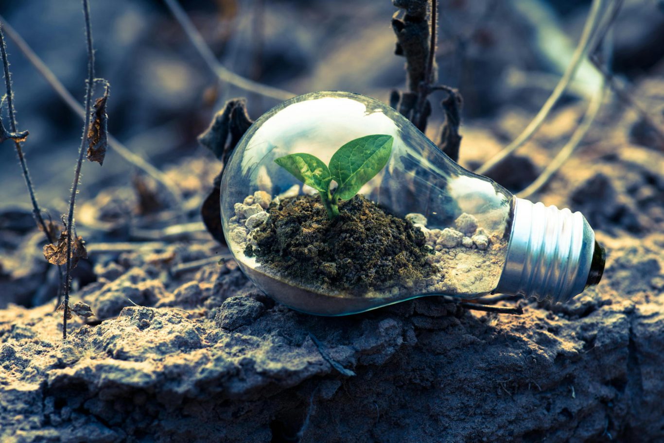 Japanese Researchers Develop Artificial Photosynthesis Technology for Sustainable Energy and Chemical Production