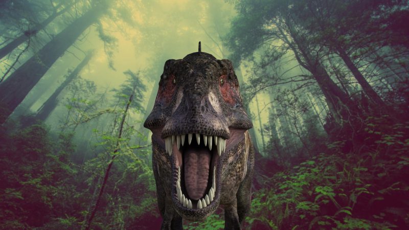 UCL Study Challenges Extinction Narrative: Dinosaurs May Have Thrived Until Asteroid Impact