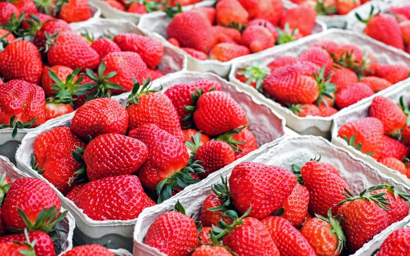 LiDAR-Guided Robot Tackles Labor Shortage in Strawberry Farming