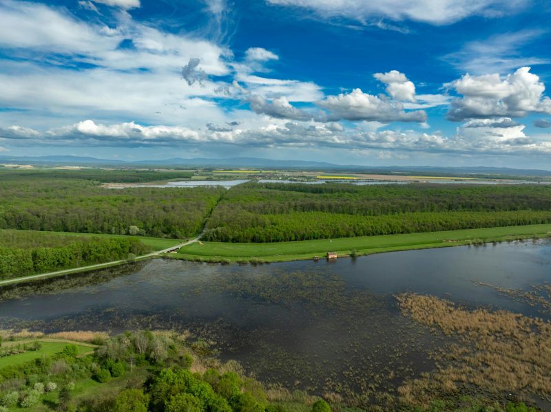 Global Warming May Accelerate Methane Emissions from Wetlands