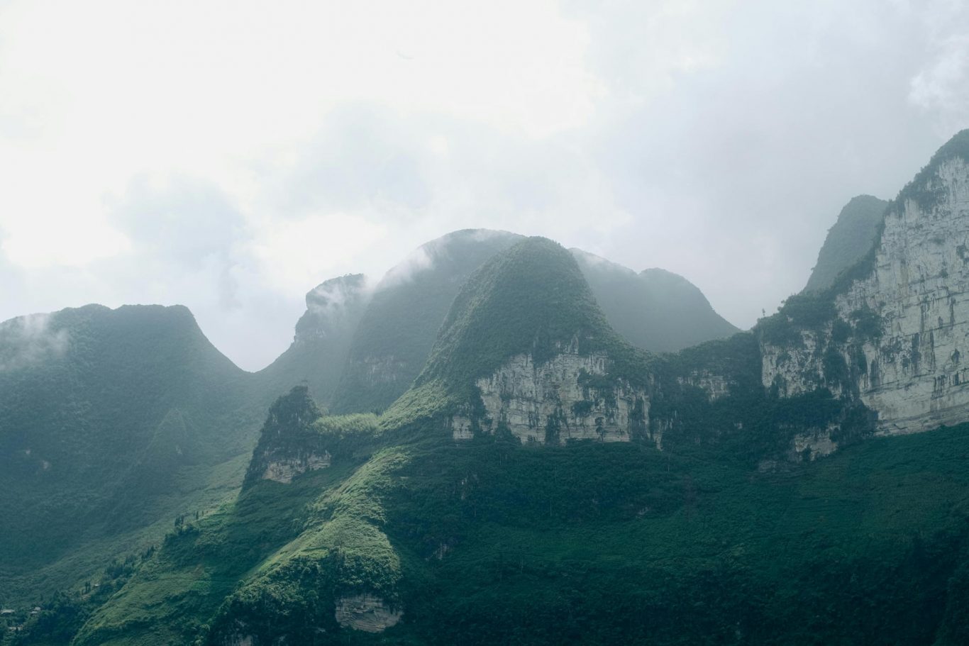 Mountain Greening Threatens Genetic Diversity of Key Alpine Plants, Study Finds