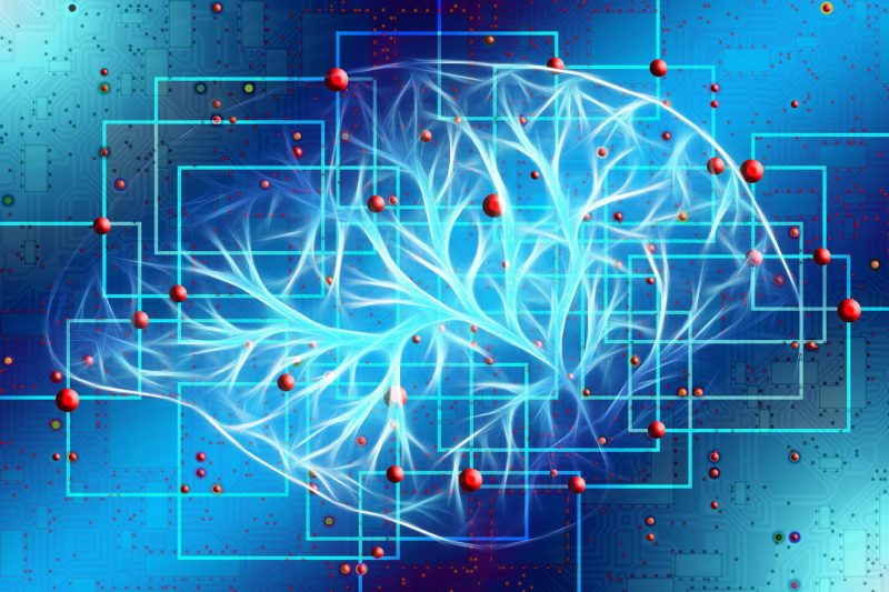 Brain Maps Remain Stable After Limb Loss, Defying Long-Held Neuroscience Assumptions