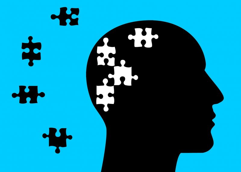 Brain's “Reset Button” Found to Segment Memories into Separate Events