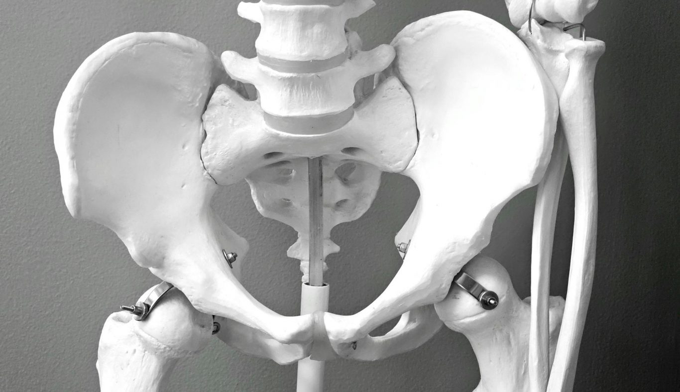 Genetic and Developmental Insights Into the Evolution of the Human Pelvis