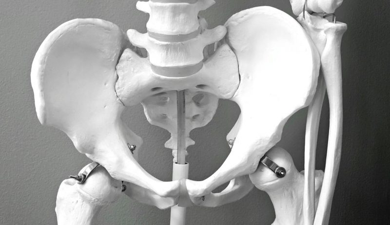 Genetic and Developmental Insights Into the Evolution of the Human Pelvis