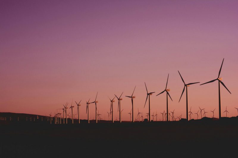 Reflected Light May Explain Why Bats Collide with Wind Turbines