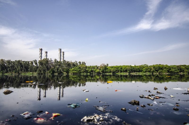 Biochar Redefined: From Passive Adsorbent to Active Pollutant Degrader