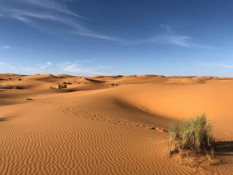 Sahara Desert May Become Wetter by Late 21st Century, Study Finds